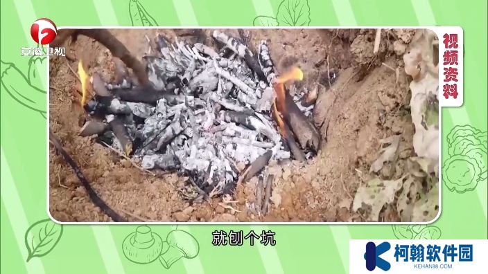 小飞电视app最新版下载