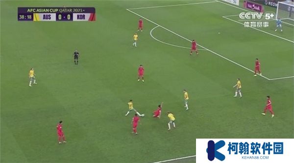飞龙电视下载