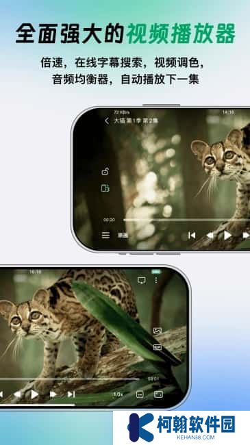VidHub播放器app下载官方版
