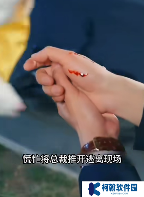 爱已无药可救短剧全集观看app下载(红果免费短剧)