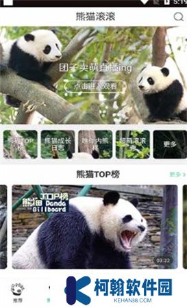 熊猫频道app下载