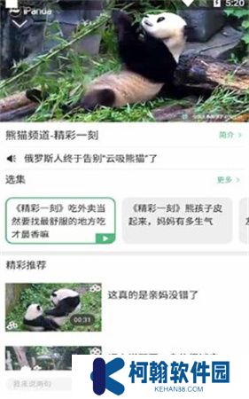 熊猫频道app下载