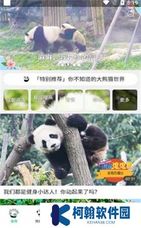熊猫频道app下载