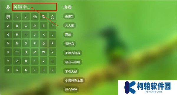 春天影视盒子截图