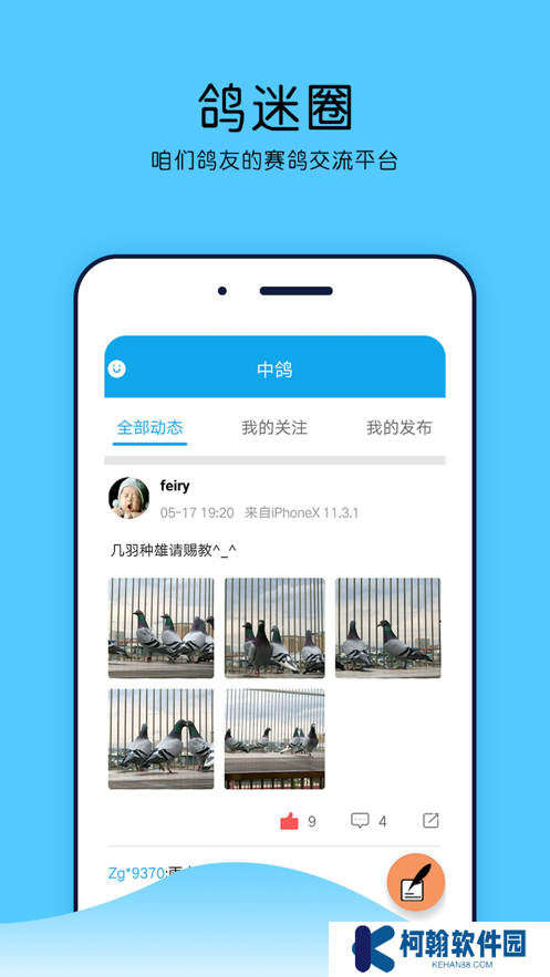 中鸽网app官方下载