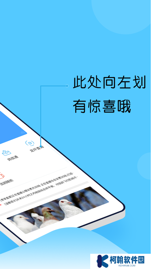 中鸽网app官方下载
