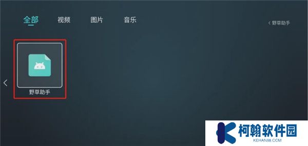 野草助手下载