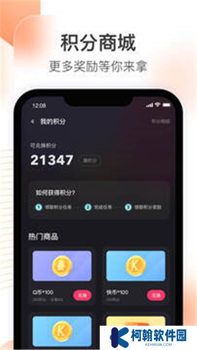 快手直播伴侣