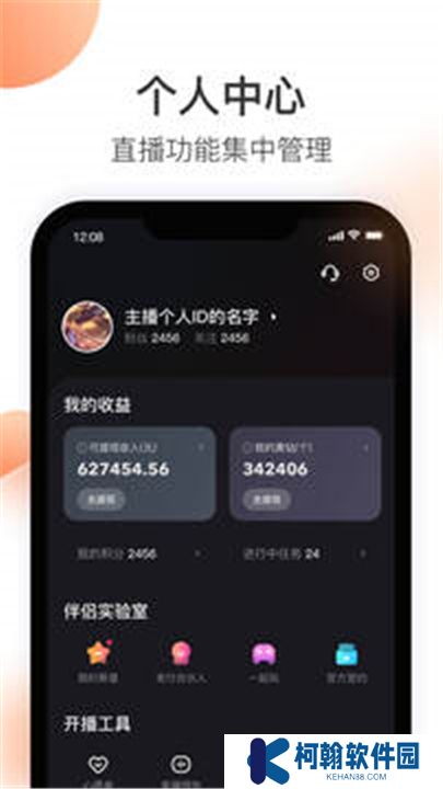 快手直播伴侣