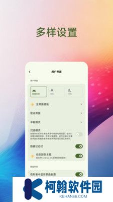 Salt Player最新版下载