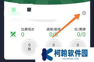 绿茵场app下载