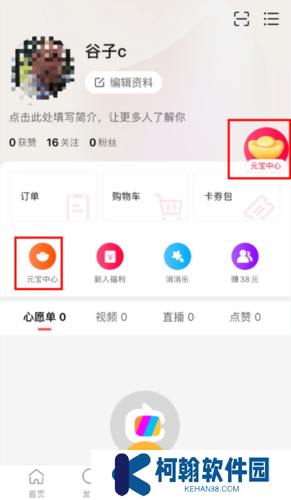 点淘app手机版