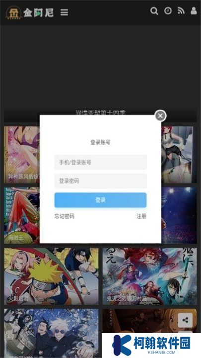 金阿尼动画