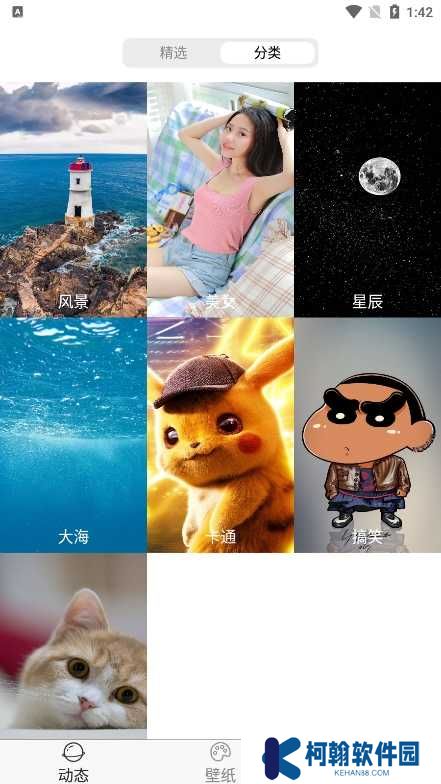 飞花动态壁纸