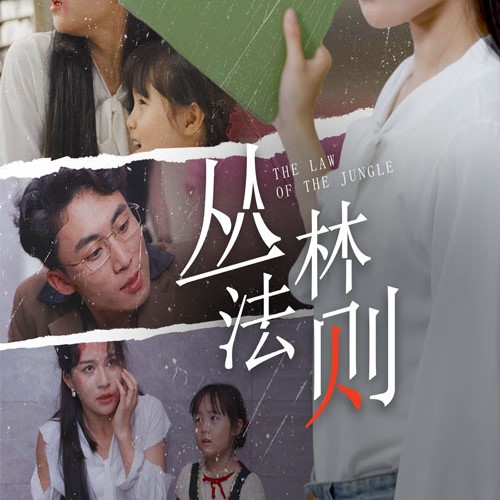 丛林法则短剧免费观看app下载(多多追剧)