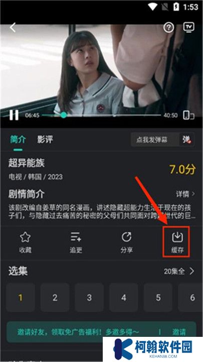 海鸥影评下载