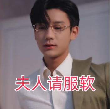 夫人请服软短剧完整版下载(多多追剧)