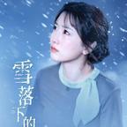 雪落下的声音电视剧免费观看完整版app下载(多多追剧)