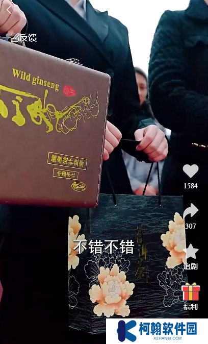 龙年大吉之衣锦还乡完整版app下载(多多追剧)
