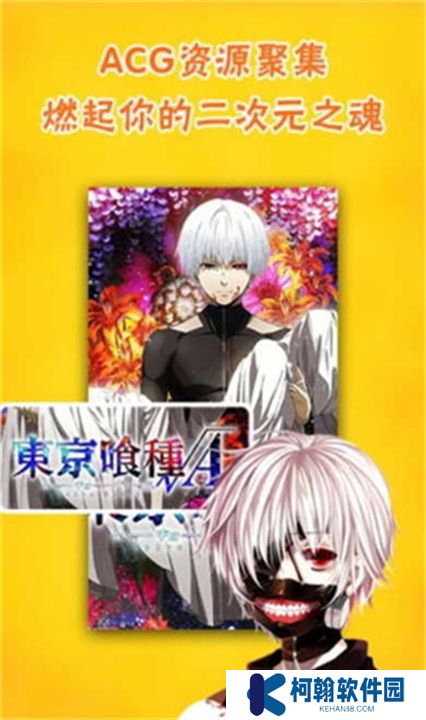 风之动漫app