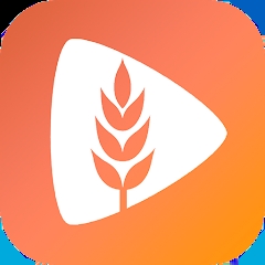 麦芽短剧app下载安装最新版