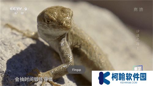 星火电视直播TV
