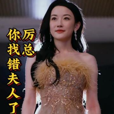 厉总你找错夫人了短剧完整版下载(多多追剧)